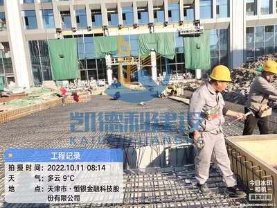2022年国家合成生物技术创新中心核心研发基地项目电气及水景工程项目